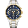 Citizen an8914-51l zilverkleurig met goud horloge