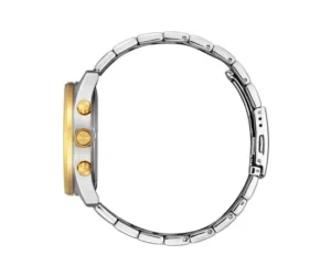 Citizen an8914-51l zilverkleurig met goud horloge